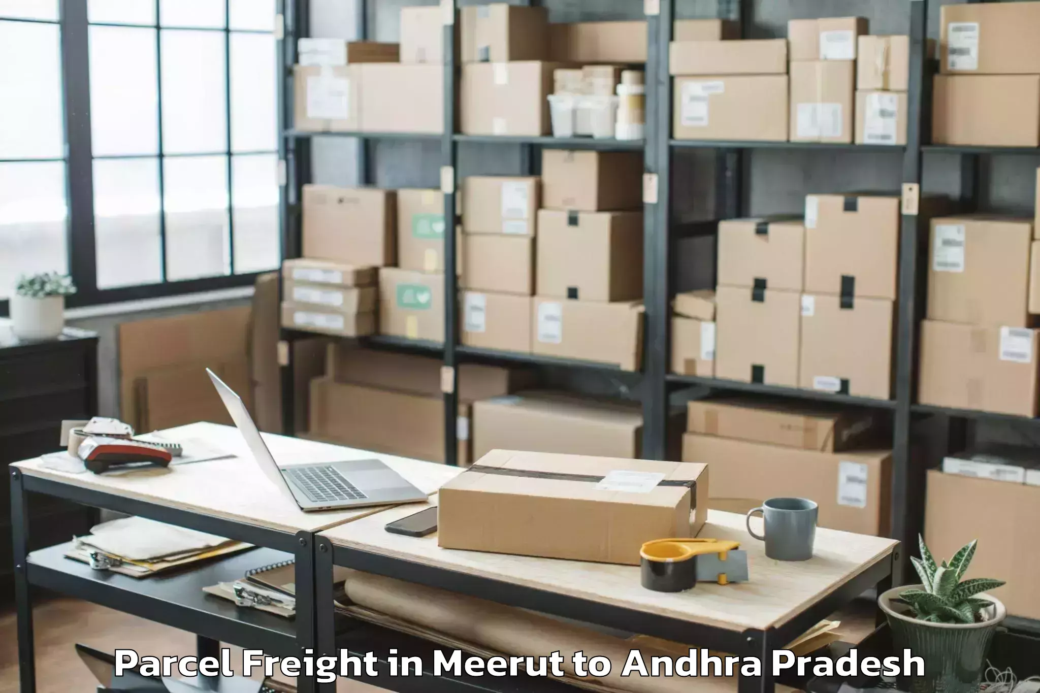 Book Meerut to Guntur Parcel Freight